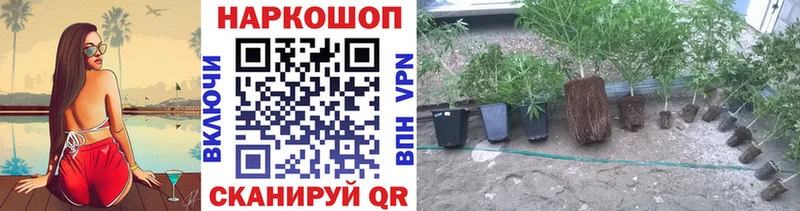 Купить наркотик аптеки Балашов A-PVP Амфетамин МАРИХУАНА