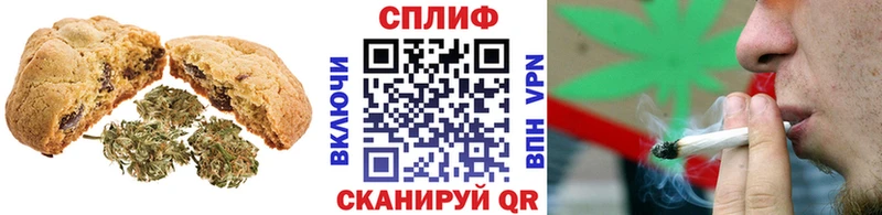 Canna-Cookies марихуана  MEGA как войти  Балашов  где купить наркотик 