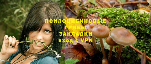 прущие крисы Алексин