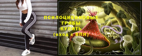 прущие крисы Алексин