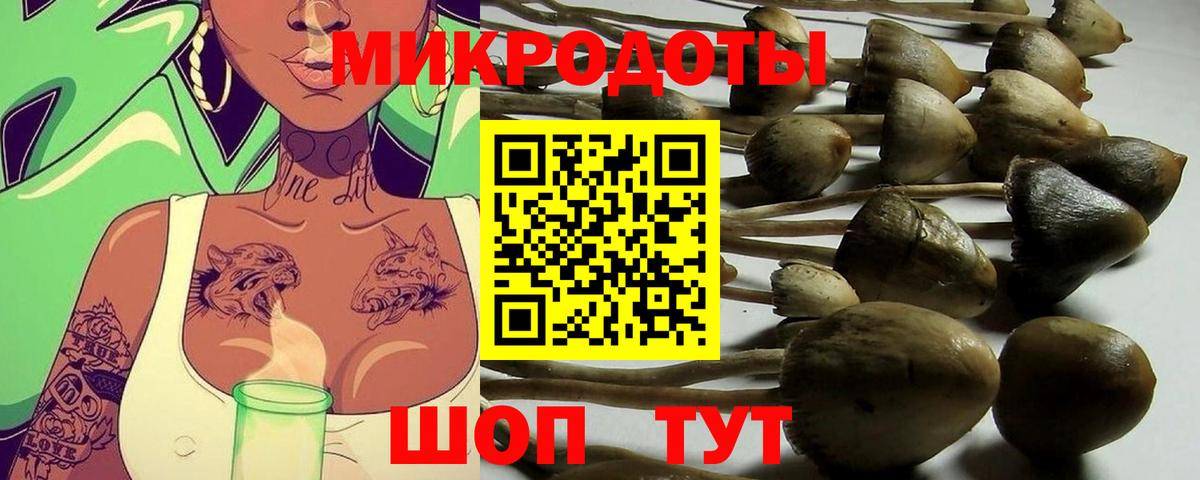 Галлюциногенные грибы Magic Shrooms  Вход с VPN  Балашов 